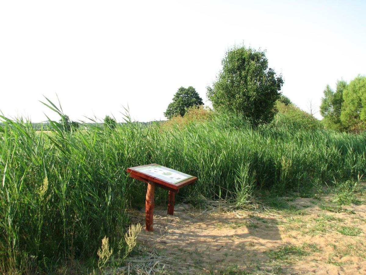 Villa Strefa Kampinos Brochów Esterno foto
