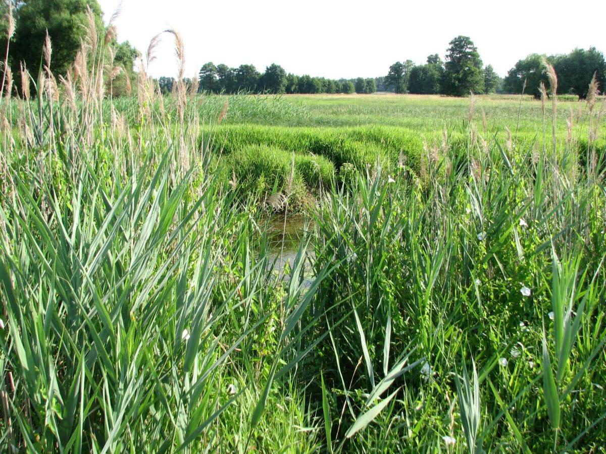 Villa Strefa Kampinos Brochów Esterno foto
