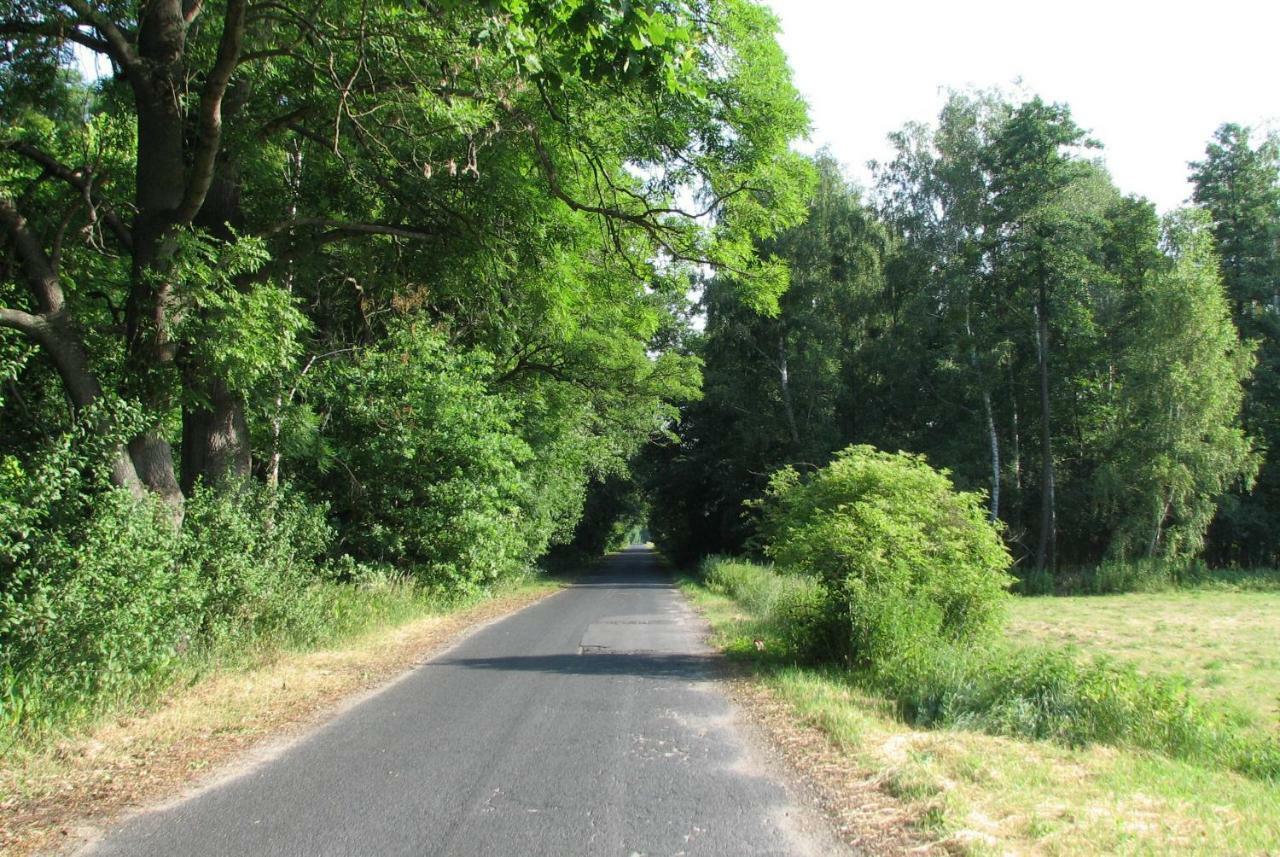 Villa Strefa Kampinos Brochów Esterno foto