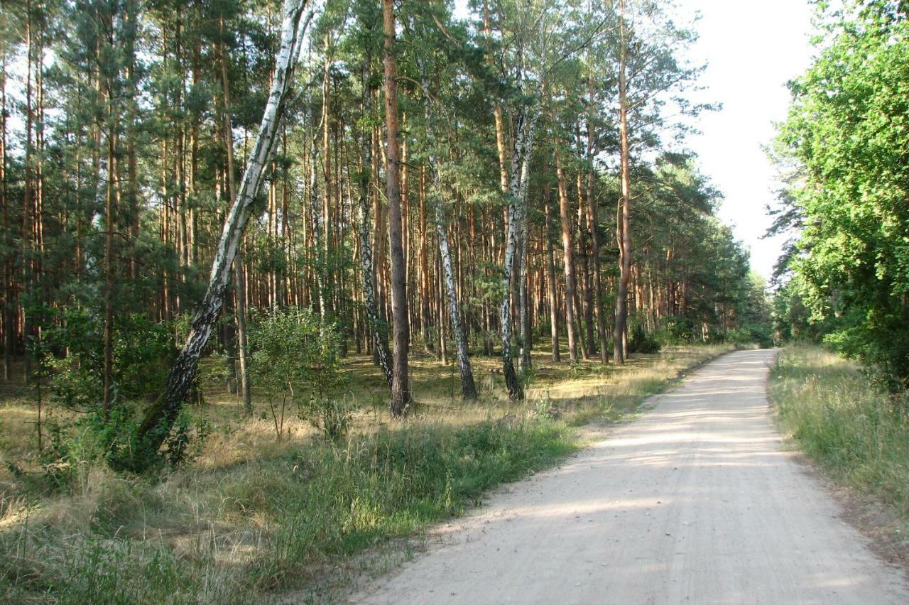 Villa Strefa Kampinos Brochów Esterno foto