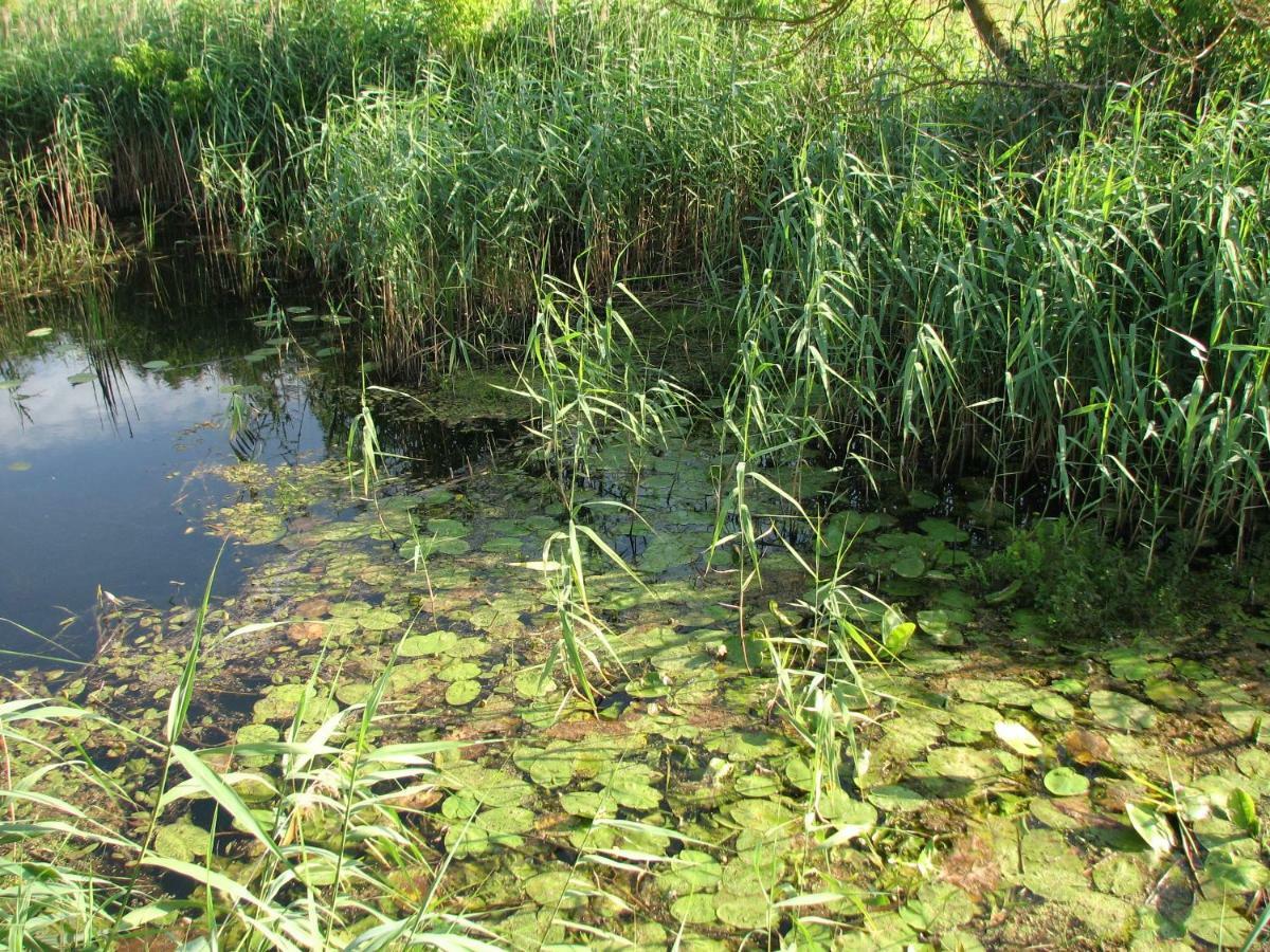 Villa Strefa Kampinos Brochów Esterno foto