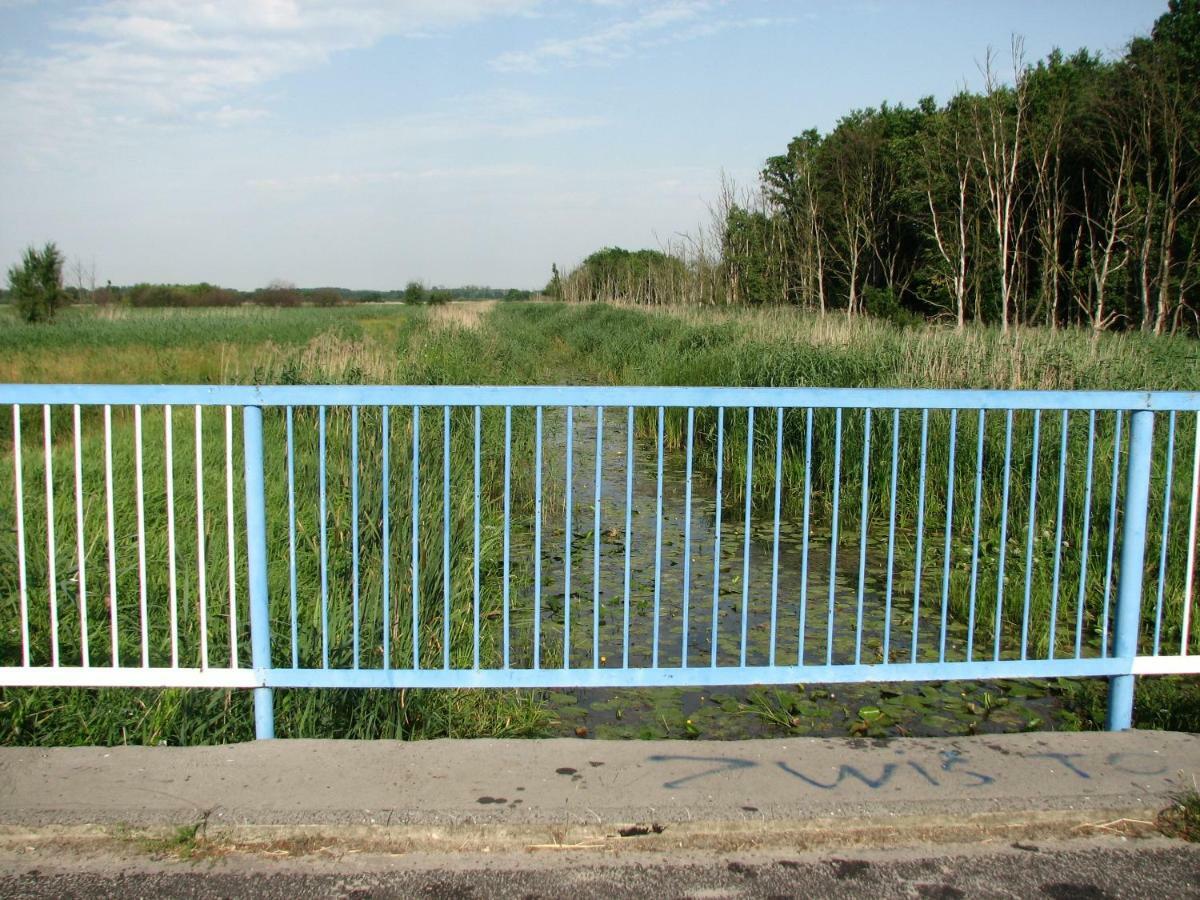 Villa Strefa Kampinos Brochów Esterno foto