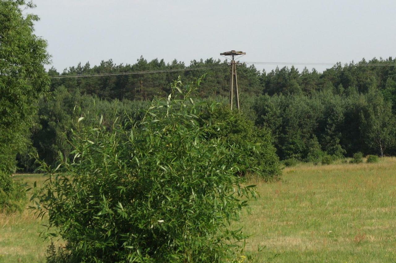 Villa Strefa Kampinos Brochów Esterno foto